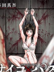 漫画条目分卷导读提纲的档案封面